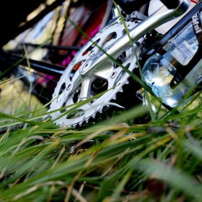 'Bike boy' admits to carjacking with young kids in back