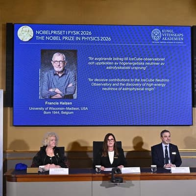 'Ghost particle' hunter wins Nobel physics prize
