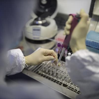 Russia says no plague, locals play down scare
