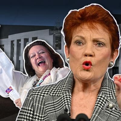 One Nation funding linked to delay in electoral reforms