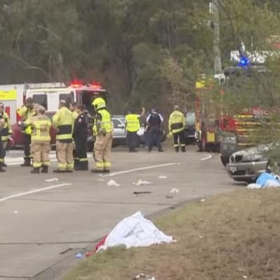 P-plater bailed after horror crash into Newcastle fans