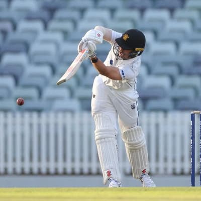 Fanning ditches crutches to guide WA to Shield win