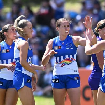 Roos defeat Dockers, Blues down Swans in Sydney