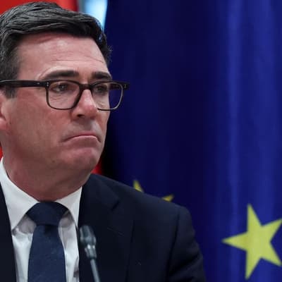 UK PM seeks MPs support for closer EU relationship