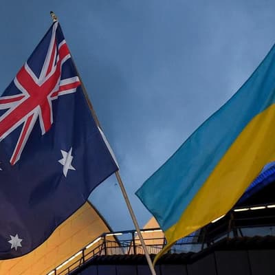 Greens at odds over sending weapons to Ukraine