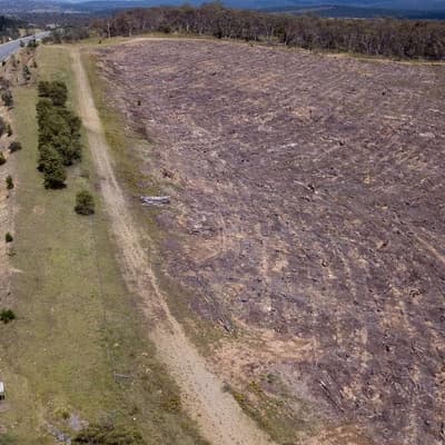 Big bank rejects push to end financing of land clearing