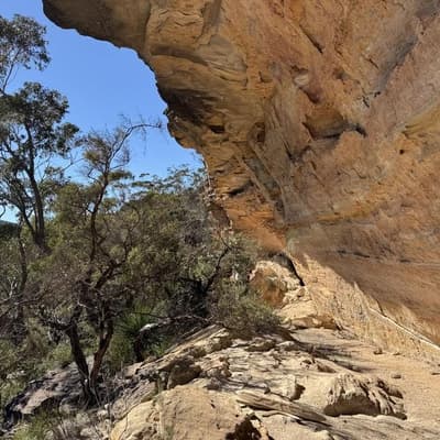 Ancient sites and artefacts uncovered by laser drones
