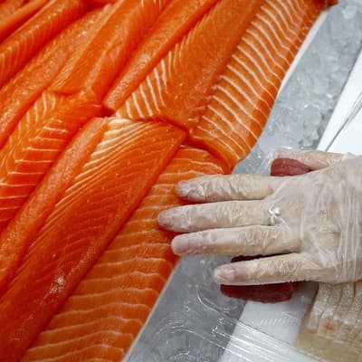 Warming seas threaten billion-dollar salmon industry
