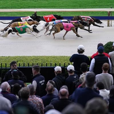 Gone to the dogs: thousands on track for final farewell