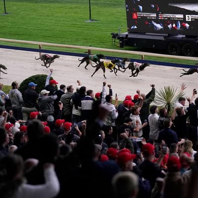 'A special buzz': fans farewell racing at dog track