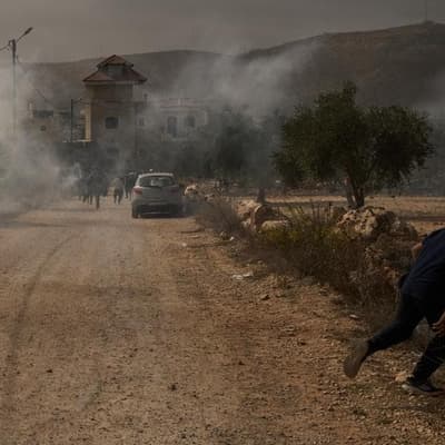 Israeli settlers burn trees, hurt reporter in West Bank