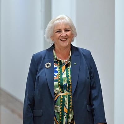 Door opens for Nationals leader's lower house move