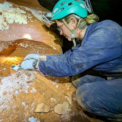 'Living dinosaur' relics found in ancient desert caves