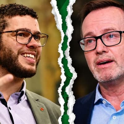 'Allegations of allegations': Greens senator speaks out