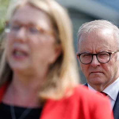 'Political process': Labor HQ guided $560m grant scheme