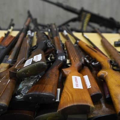 Buyback looms as premier backs 'good people' with guns