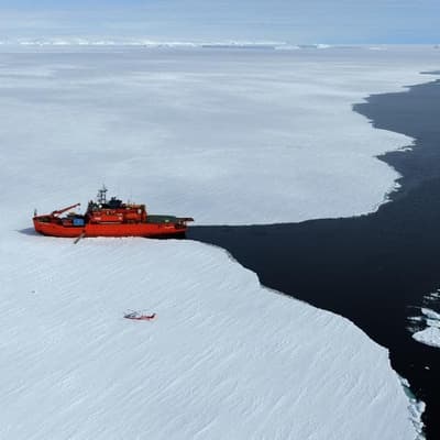 'Never seen': sea ice loss triggers big ocean change