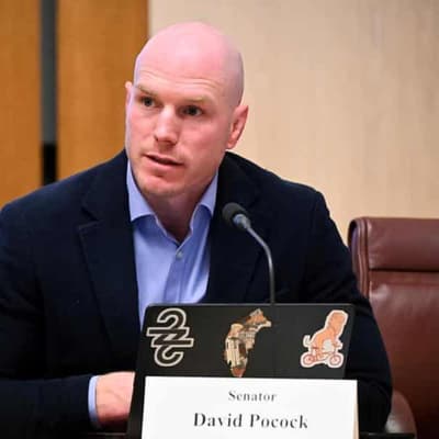 'Massive loopholes' giving lobbyists access: Pocock