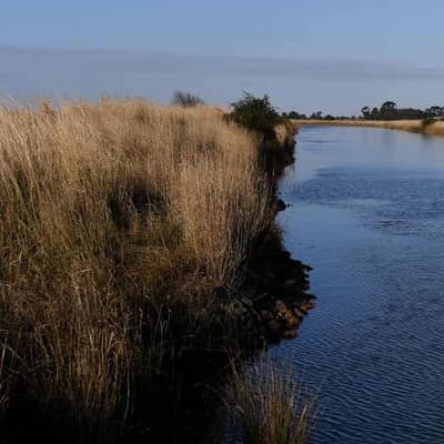 Water theft laws so bad only 'morons' are at risk