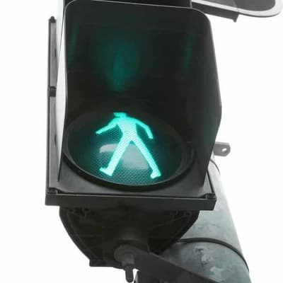 Panicked driver crossed nine lanes, killed pedestrian