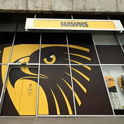Ex-Hawks official Burt denies claims in racism inquiry