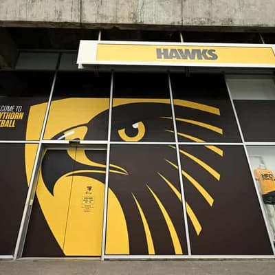 Burt joins Fagan in blasting Hawks racism investigation