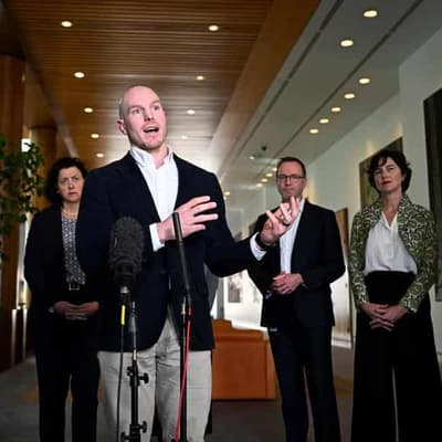 Pressure for national ban on logging native forests