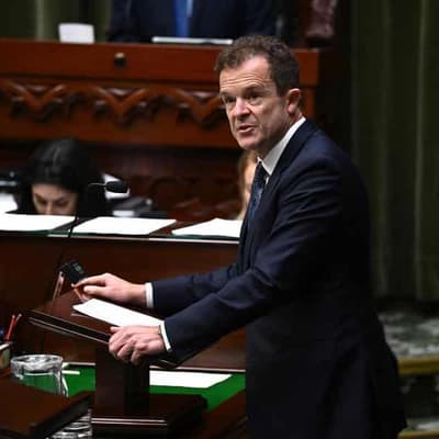 Unnamed NSW MP accused of 'meowing' at Labor minister