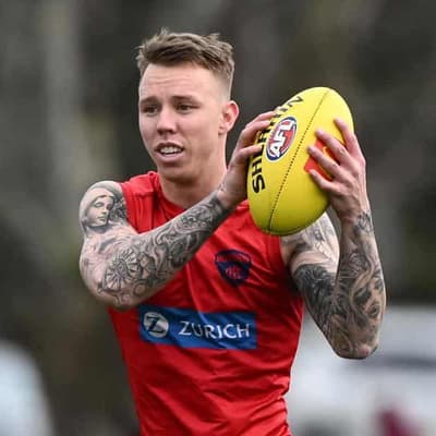 Demon James Harmes cops one-match AFL ban