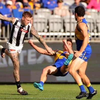 Pies star De Goey referred to tribunal for Hewett bump