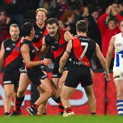 Bombers snatch AFL thriller over gutsy North Melbourne