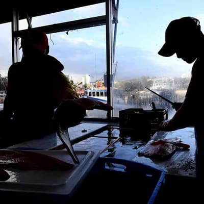 'We have to act': Pacific worker scheme shift defended