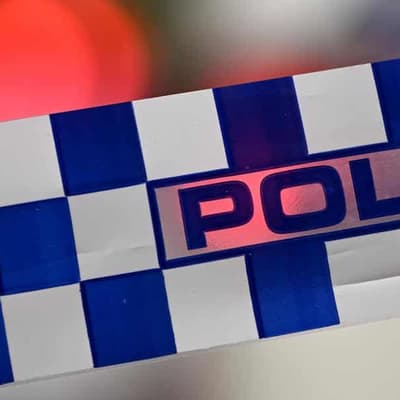 Gun law probe after man kills son in murder-suicide