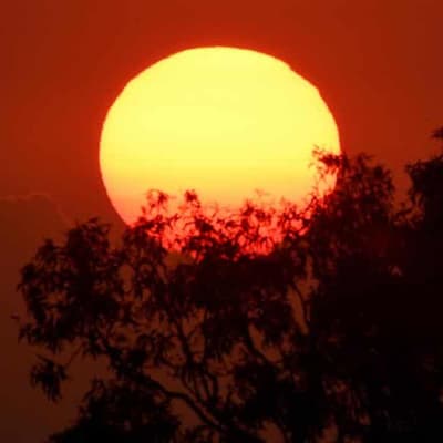 Global temperature data leaves climate sceptic out in the cold