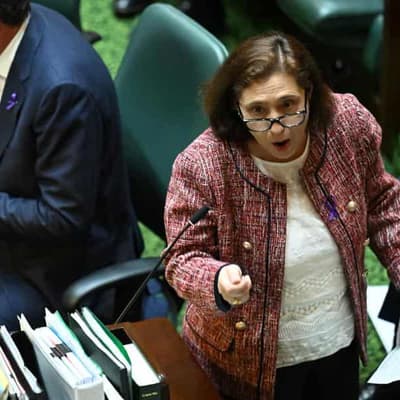 Vic-owned renewables to be one-fifth of state's power