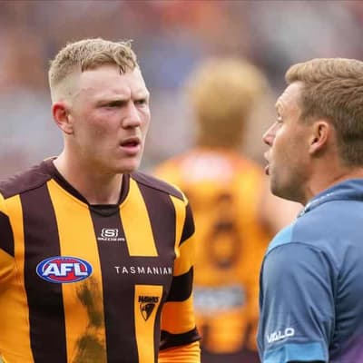 Hawks look down rabbit hole as they try to tame Lions