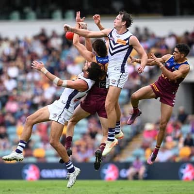 Tigers aim to keep Fremantle's high-flyers grounded