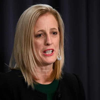 Gallagher denies misleading parliament over Higgins