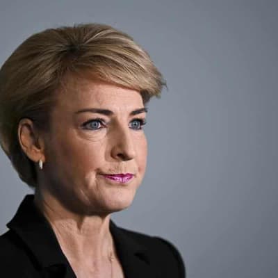 Opposition attacks 'flimsy' Labor defence over Higgins