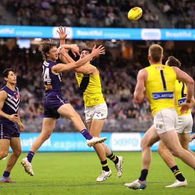 AFL gives green light to Dockers-Tigers goal review