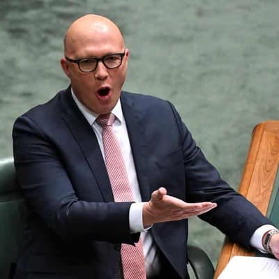 MPs accused of harming women over Higgins discourse