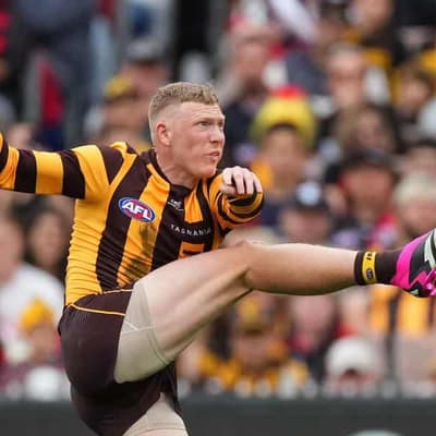Hawk Sicily, Tiger Mansell to appeal AFL suspensions