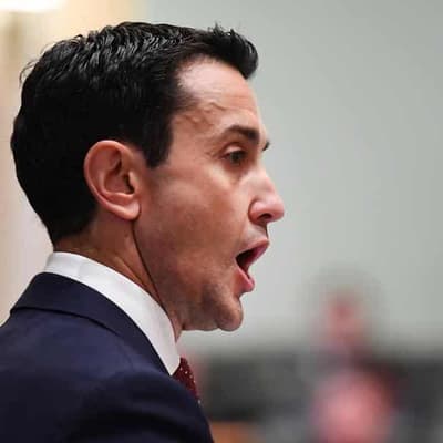 LNP attacks consultants, vows public service changes