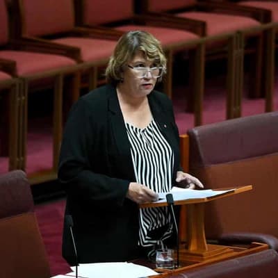 Indigenous senators speak out as referendum takes shape