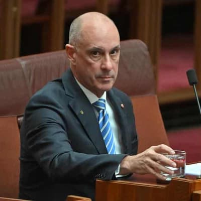 Dutton urges Van to quit parliament over allegations