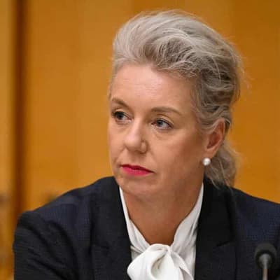 Gallagher has questions to answer on Higgins: McKenzie