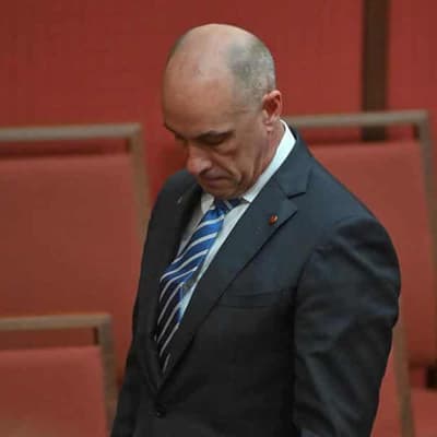 Ex-Liberal Van loses Senate role amid misconduct claims