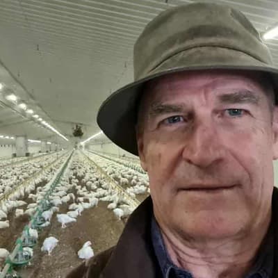 Plucky farmer turns energy costs into chicken feed