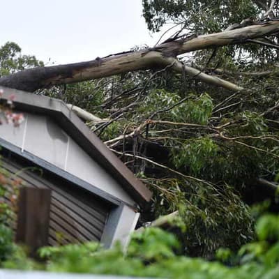 Lack of household emergency plan puts millions at risk