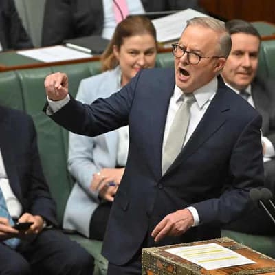 Albanese on attack over Greens 'politicising poverty'
